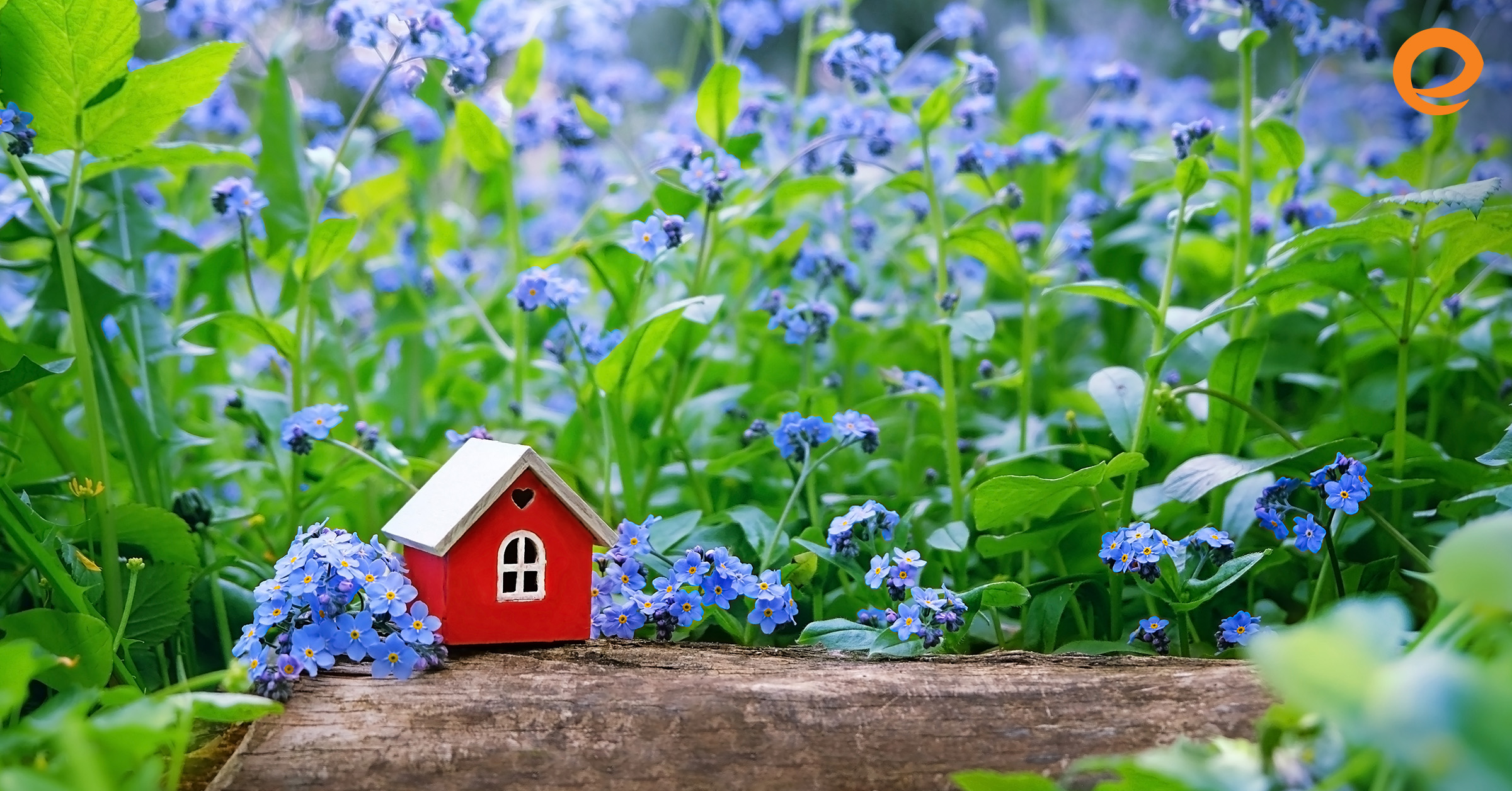 Why Your Spring Marketing Campaign Needs a Strong Message
